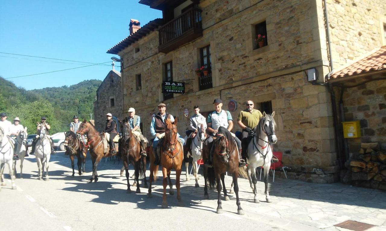 Posada Casa Molleda Пеханда Экстерьер фото